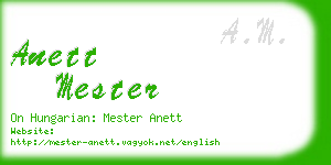 anett mester business card